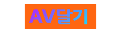 AV달기 AV달기